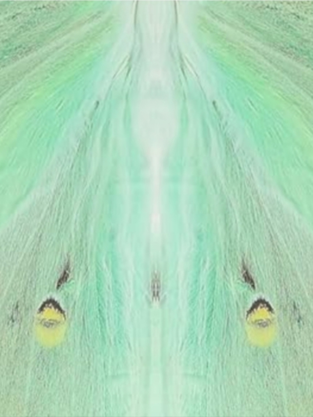 Mint Green Luna Moth Festival Butterfly Costume Set Fairy Wings Butterflies - Picture 3 of 12